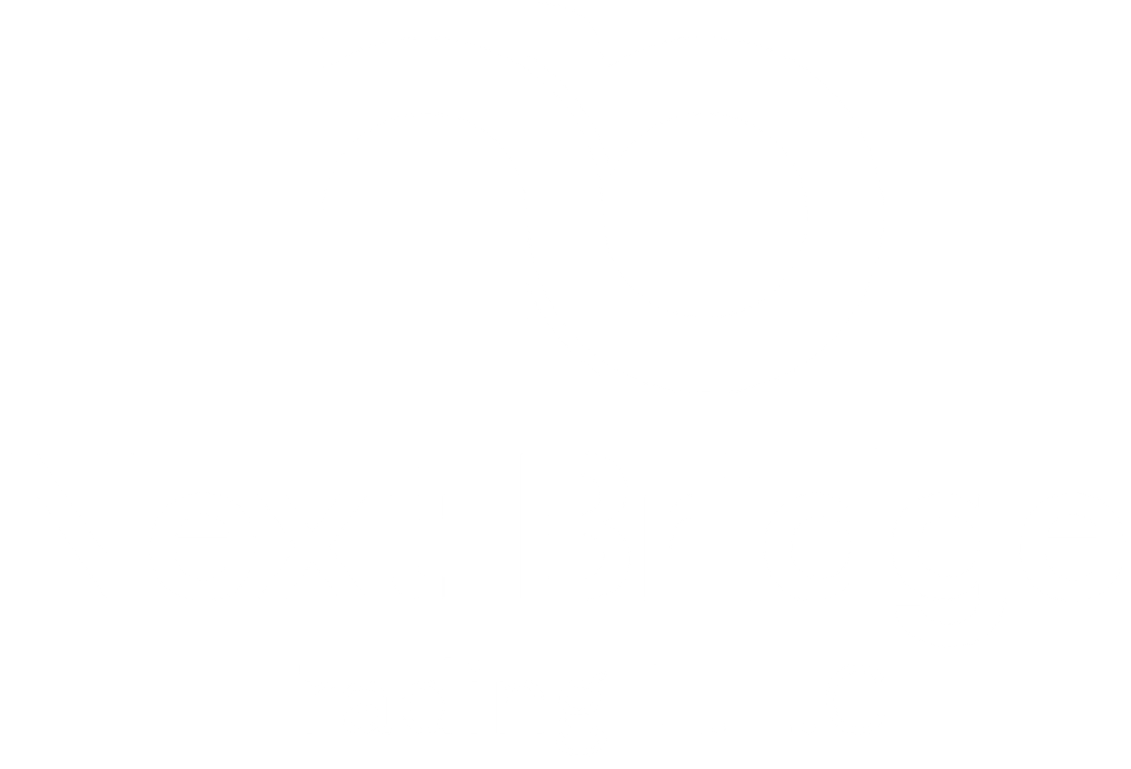 Next Bridge Trading L.L.C